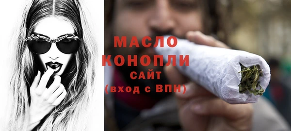 индика Сосновка