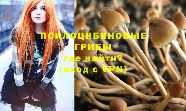 метадон Аркадак